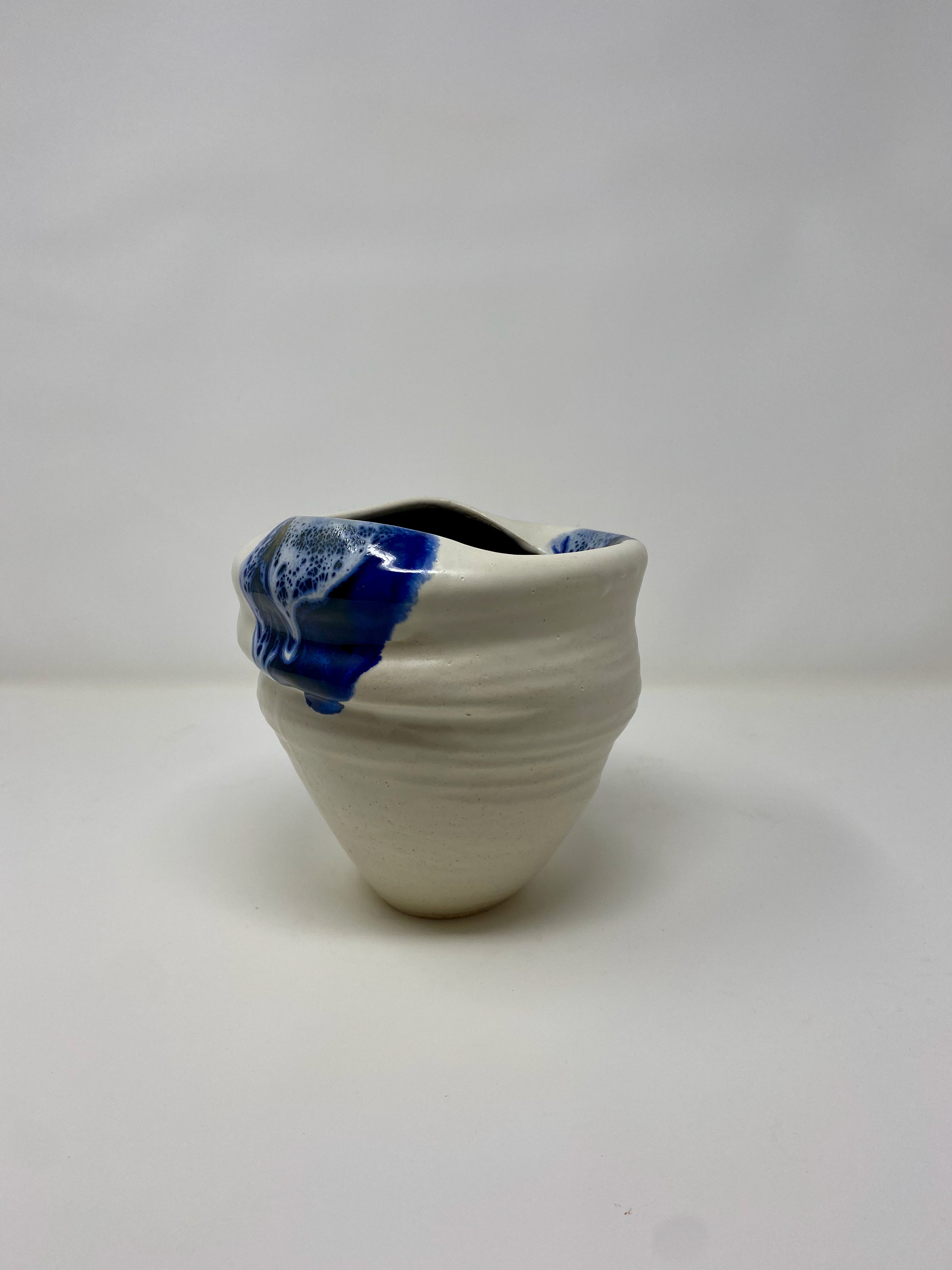Charybdis Pot 1
